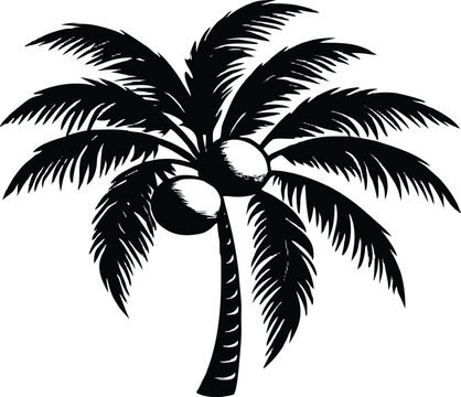 Coconut Tree with Coconuts Silhouette | Tropical Coconut Palm Outline