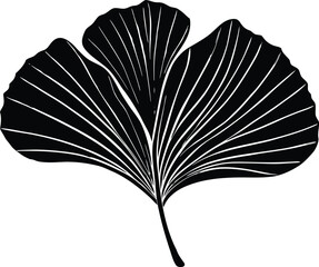 Ginkgo Biloba Leaf Silhouette | Ginkgo Leaf Outline Vector