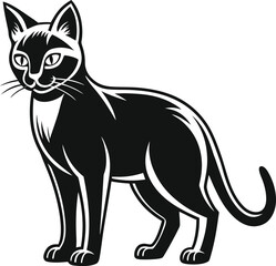 Obraz premium Black Cat Standing Profile with Stylized White Markings feline animal