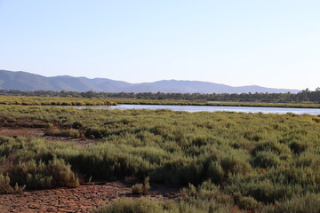 Obraz premium View of Orbetello Lagoon, province of Grosseto. WWF protected area, Tuscany, Italy