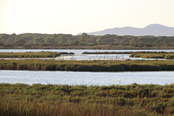 View of Orbetello Lagoon, province of Grosseto. WWF protected area, Tuscany, Italy