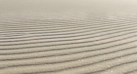 Minimal Sand Texture with Soft Ripples