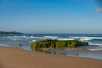 Rock formation covered in vibrant green moss at low tide on a peaceful beach, with gentle ocean waves and a clear blue sky in the background on a sunny morning.
