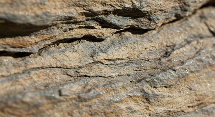 Rough Stone Wall Macro Texture