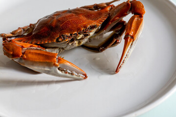 raw cooked crab on a white plate