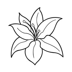 Vector Illustration Of Lily Flower