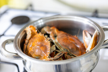 raw cooked crab on a white plate