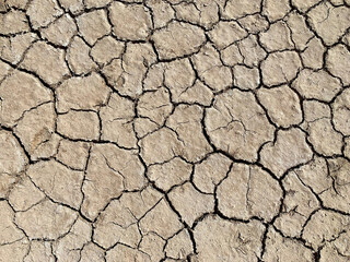Cracked Drought Soil Texture - Dry Earth Background from Desert Environment
