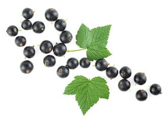 Blackcurrant berries with green leaves isolated on a white background, top view.