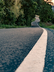 asphalt road in the park