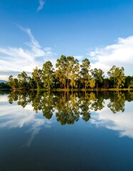 Fototapeta premium Tranquil lake mirroring trees