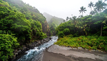 Lush tropical greenery surrounds a flowing river emptying onto a dark sandy beach, creating a tranquil and misty scene.