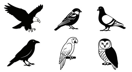 Fototapeta premium Diverse Bird Species Lineup Black and White Vector Illustration for Wildlife Education, Ornithology Studies, and Avian-themed Design Projects