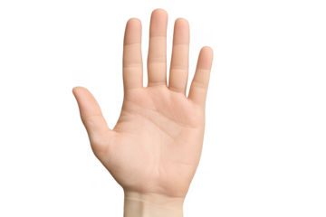 Open human palm, offering or stop gesture, isolated on transparent background