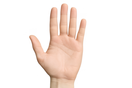 Open human palm, offering or stop gesture, isolated on transparent background