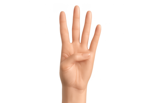 Human hand showing number four gesture, isolated on transparent background