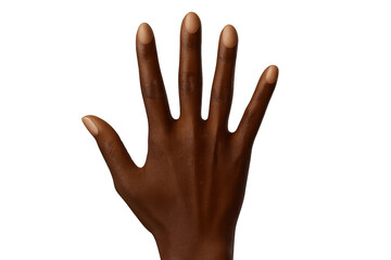 Dark-skinned hand with open palm isolated on transparent background, detailed