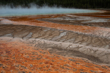 geyser in Yellowstone National Park
