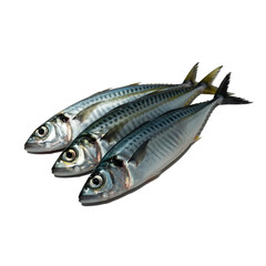 Naklejka premium fresh fish on a plate[Transparent Background PNG]