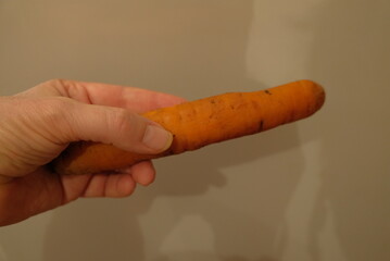 Boiled carrots in a person's hand on salad Olivier fur coat healthy food on a light background product and person part of the body fingers are visible