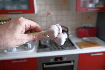 A few heads of new crop garlic in the hand of a man in the kitchen