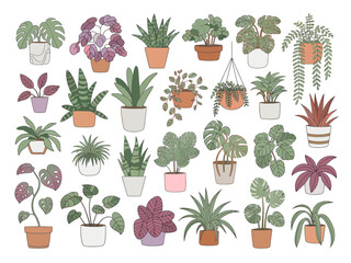 A diverse collection of 25 hand drawn houseplant illustrations