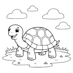 a turtle with no color