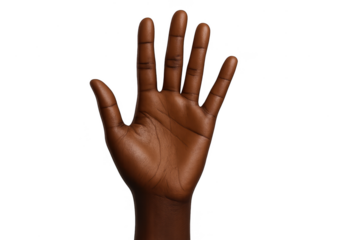 Open palm of African American hand, isolated on transparent background, close-up view