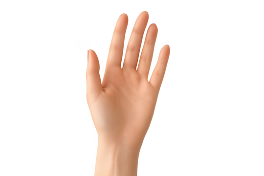 Front view of an open human palm hand isolated on transparent background - Powered by Adobe