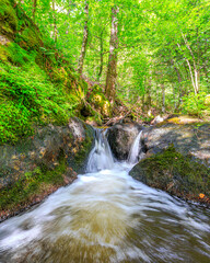 Obraz premium Tarn River in the commune of Lamontélarié in the South of France. Undergrowth and green moss on rock with small waterfalls in the forest in summer. 