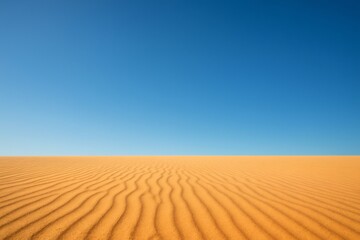 Fototapeta premium Rippled golden sand dunes extend towards the horizon beneath a vibrant, cloudless blue sky, creating a serene and minimalist desert landscape