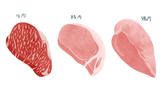 牛肉・豚肉・鶏肉の切り身セット　水彩風手描きイラスト