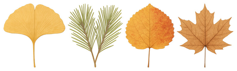 Obraz premium Colorful autumn leaves illustration