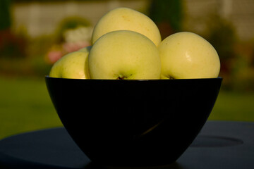 żółte jabłka w szkalnej misce na tle ogrodu, dojrzałe jabłka wczesne w czarnej misce na stoliku w ogrodzie,  „Papierówka”, „Oliwka Żółta”, first apples of the season, the earliest apples in the bowl
