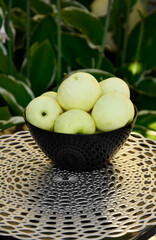 żółte jabłka w szkalnej misce na tle ogrodu, dojrzałe jabłka wczesne w czarnej misce na stoliku w ogrodzie,  „Papierówka”, „Oliwka Żółta”, first apples of the season, the earliest apples in the bowl