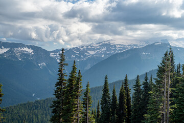 Mount Rainier Panorama with Mountains, Clouds, Forest, and Wildflowers
