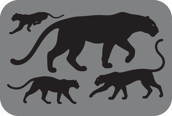 Silhouette of a majestic adult panther leading its three playful cubs across a gray background showcasing family and wild nature