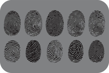 A collection of ten distinct black and white fingerprints displayed in two rows against a neutral grey background showcasing unique patterns