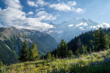 Mount Rainier Panorama with Mountains, Clouds, Forest, and Wildflowers