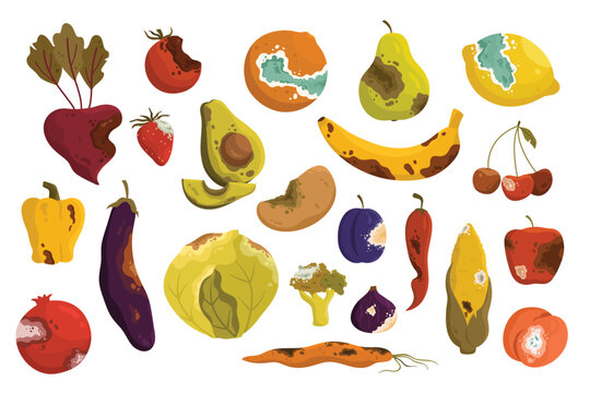 Rotten vegetables and fruit set vector illustration. Cartoon bad unhealthy products from kitchen litter and waste bin, collection of moldy expired food ingredients with brown skin, rot and mold