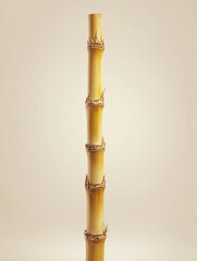 Fototapeta premium Single bamboo pole on beige background, 3D render
