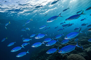 Fototapeta premium Many blue fish swim in the blue sea. EPA, DHA. High-quality oil. Health. Supplements.
