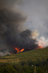 Fototapeta premium A Wildfire Raging on a Green Mountain Side. Concept The unstoppable force of nature.
