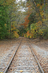 Obraz premium Railway into the forest vertical - Rock Island State Park, Tennessee