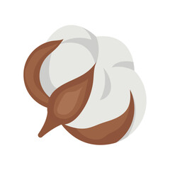 Cotton Flower, cotton boll vector illustration. Fabric material plant.