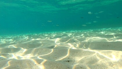 Sunlight filters through the turquoise water, illuminating the rippled bottom of a shallow sea bed, showcasing small fish schools.