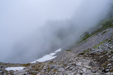 Cloudy Forest at Mount Baker, Misty Pacific Northwest Wilderness Landscape