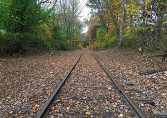 Rails and leaves - Rock Island State Park, Tennessee