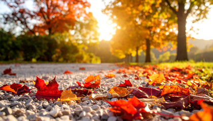 Autumn Leaves on a Gravel Path at Sunset