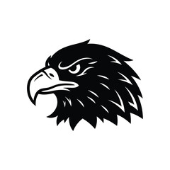 Obraz premium A striking black and white illustration of an eagle's head, showcasing its profile.